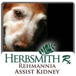 Rehmannia Assist Kidney