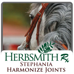 Stephania Harmonize Joints
