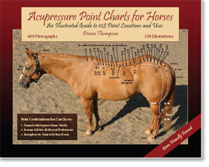 Acupressure Point Charts for Horses